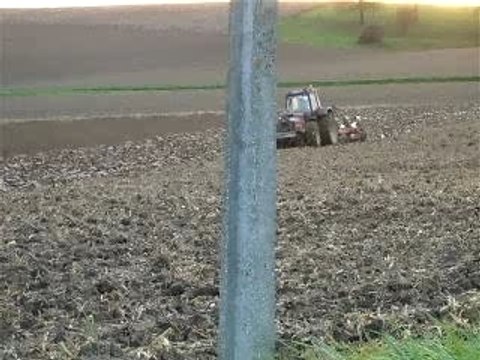 Case IH 1455 Labour avec charrue 5 Corps Gregoire Besson