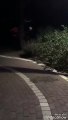 Several teens detained by police after clown-scare phenomena is spread in Israel