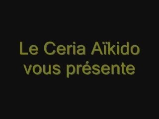 Demonstration aiki