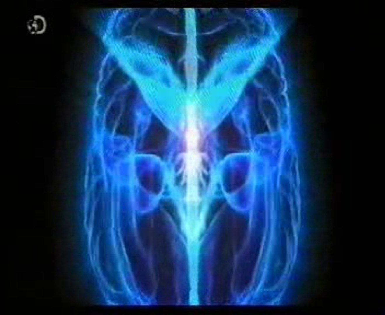 Resultado de imagen de paul zak + confianza