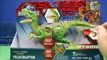 New Jurassic World Hybrid Velociraptor Vs T-Rex UNBOXING Parody - WD Toys