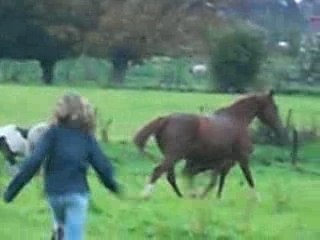 Les dadas qui prennent du PLAISIR