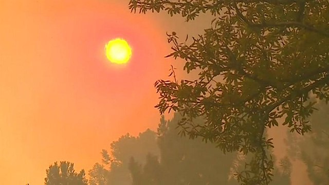 Португалия: аномальная жара и лесные пожары