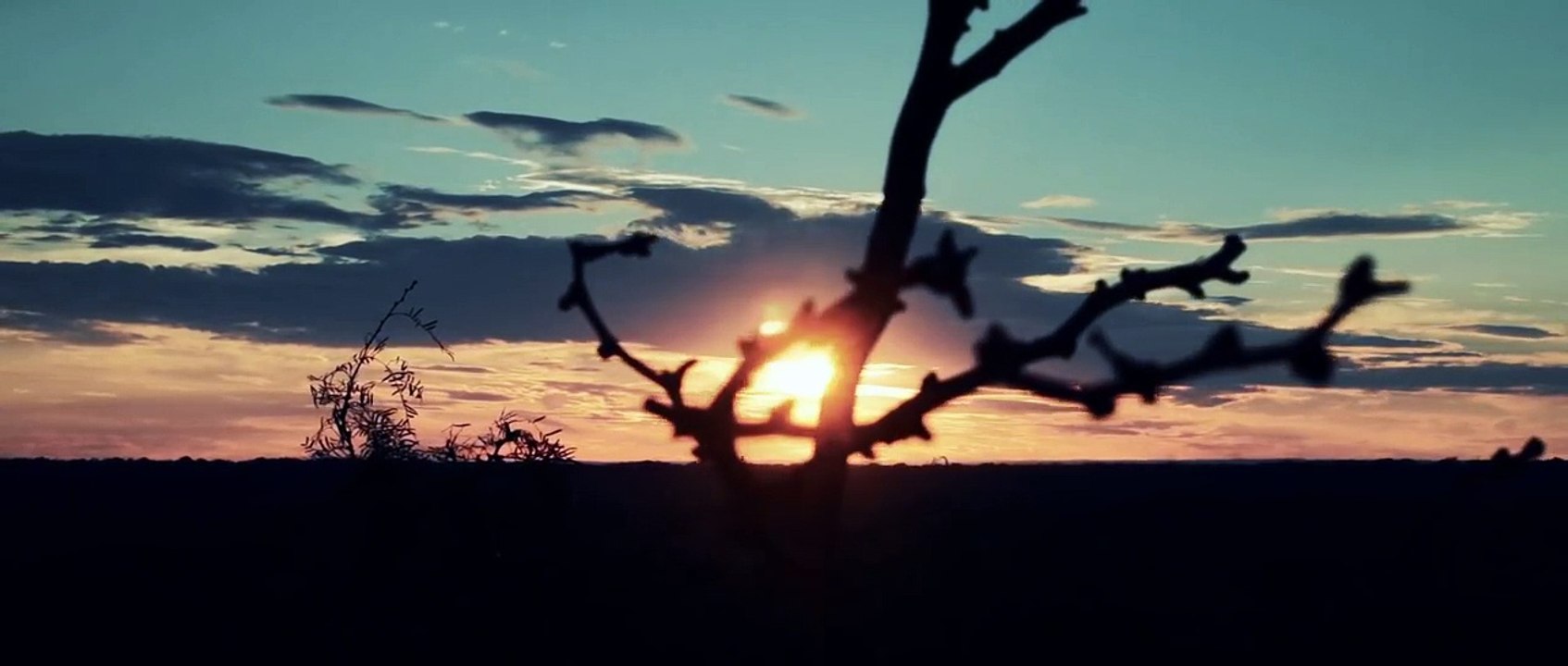 Le "Bump stock", ce dispositif qui a permis au tueur de Las Vegas de faire encore plus de victimes