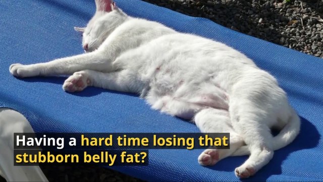 5 Foods To Never Eat For A Flat Stomach… Not Even On “Cheat Days”