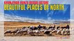 Khunjerab Hunza Deosai Astore Beautiful Places Of North Pakistan