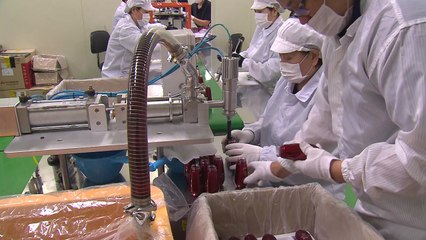 연휴 마지막 날 구슬땀...일상 복귀 미리 준비 / YTN