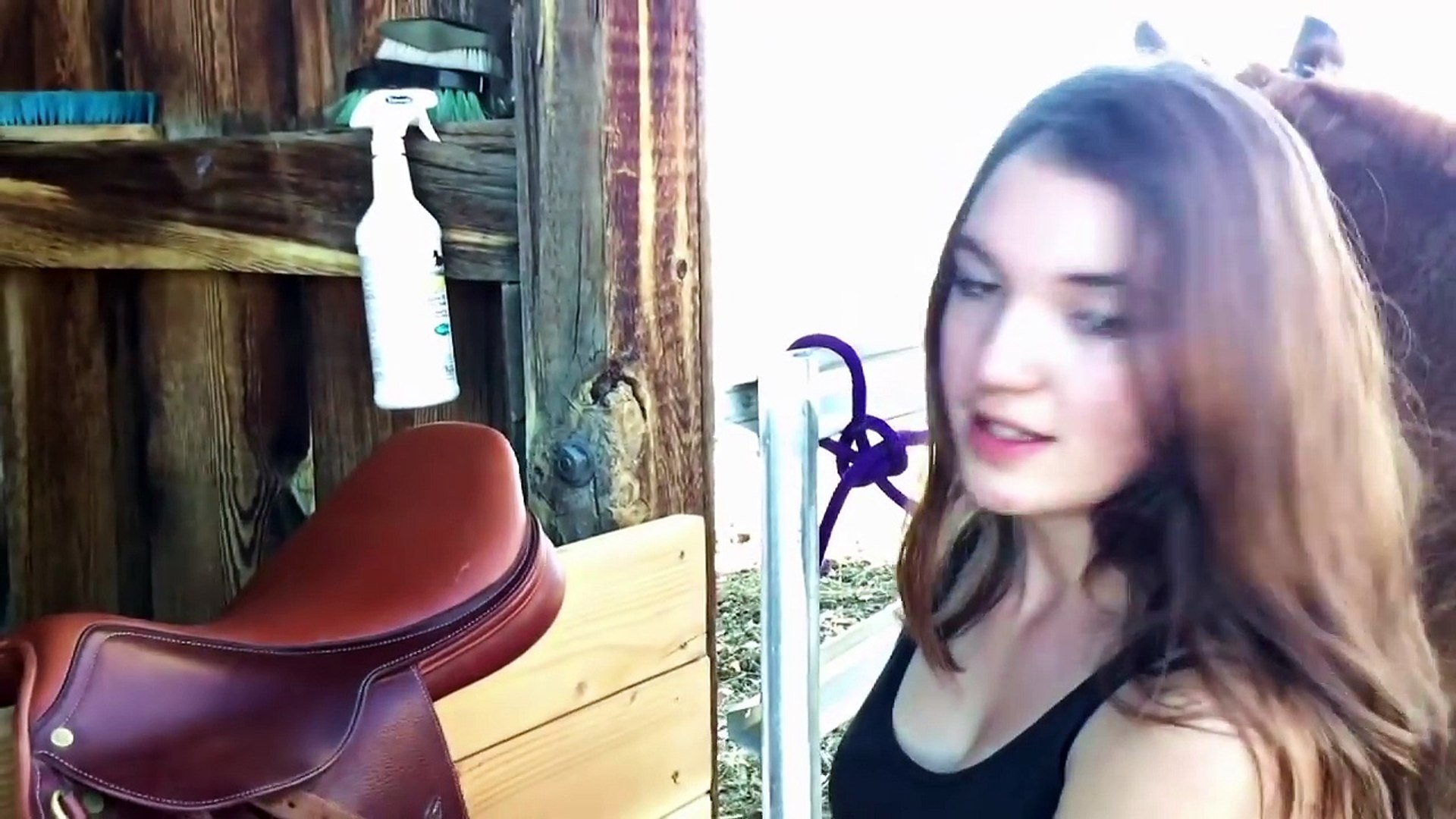 HOW TO TACK UP A HORSE ENGLISH STYLE