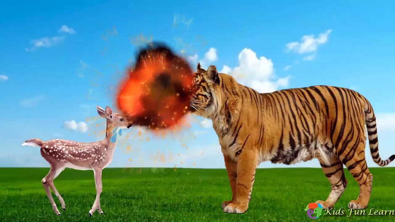 Animals Wild Baby Find Mom, Animals Wild Name and Sounds for Children | Animals for kids