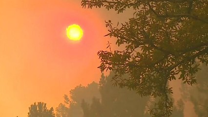 Fresh fires in Portugal amid unusually high temperatures