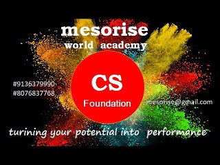 BEST CS FOUNDATION COACHING IN  DELHI AT MALVIYANAGAR Mesorise World Academy