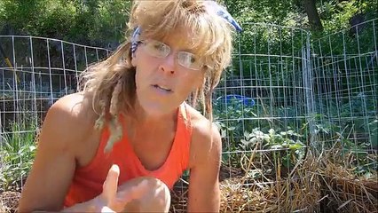 Back To Eden Garden Tour: Successful Organic Gardening