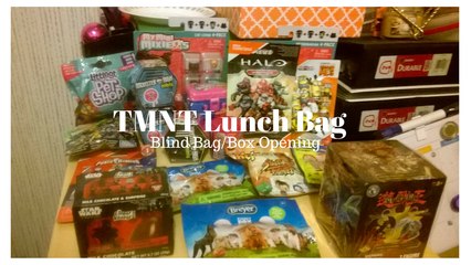 TMNT Lunch Box Blind Bag #1