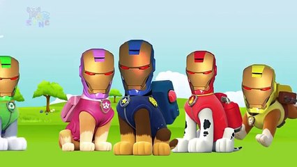 PAW PATROL Transform Into IRON MAN Finger Family Song Nursery Rhymes For Kids | A&E Channel