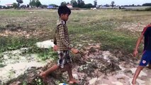 Amazing Children Fishing - How To Catch Many Fish By Hand In Rice Field - Cambodia Fishing Method