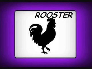 Animal sounds - Animal sounds for kids