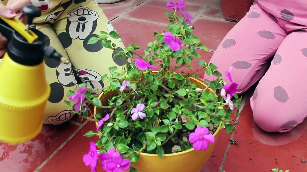 Bad Baby Water Gun Fight In House Victoria Annabelle Super Soakers Babies Hidden Egg Episode 2