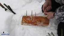 Ловушка на зайца зимние рожны. Редкий вариант ловушки для скрытой установки в снегу.