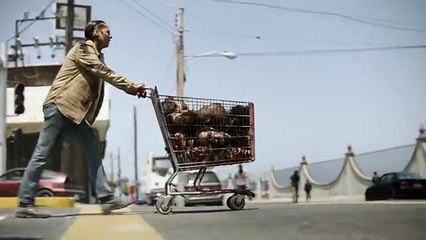 Fear The Walking Dead Saison 3 (Bande-annonce épisode 15 - Things Bad Begun - VOSTFR)
