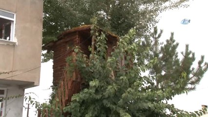 Sivas'ta Ağaç Dallarına Kurulan Ahşap Evin Hikayesi Yürek Burkuyor