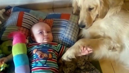 Tan chảy với tình yêu của thú cưng dành cho bé yêu