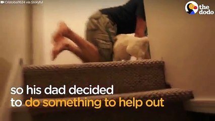 Belle vidéo du jour : vous allez littéralement fondre en regardant ce chiot qui découvre les escaliers pour la première