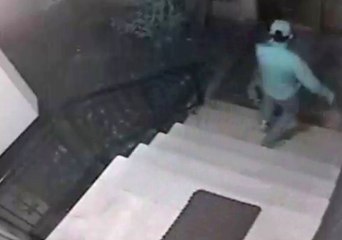 Çaldıkları Köpeği Geri Getiren Hırsızlar Kamerada