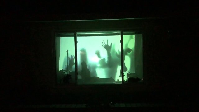 Effet flippant d'Halloween ruiné par.. ton chat !! Zombies en ombres chinoises