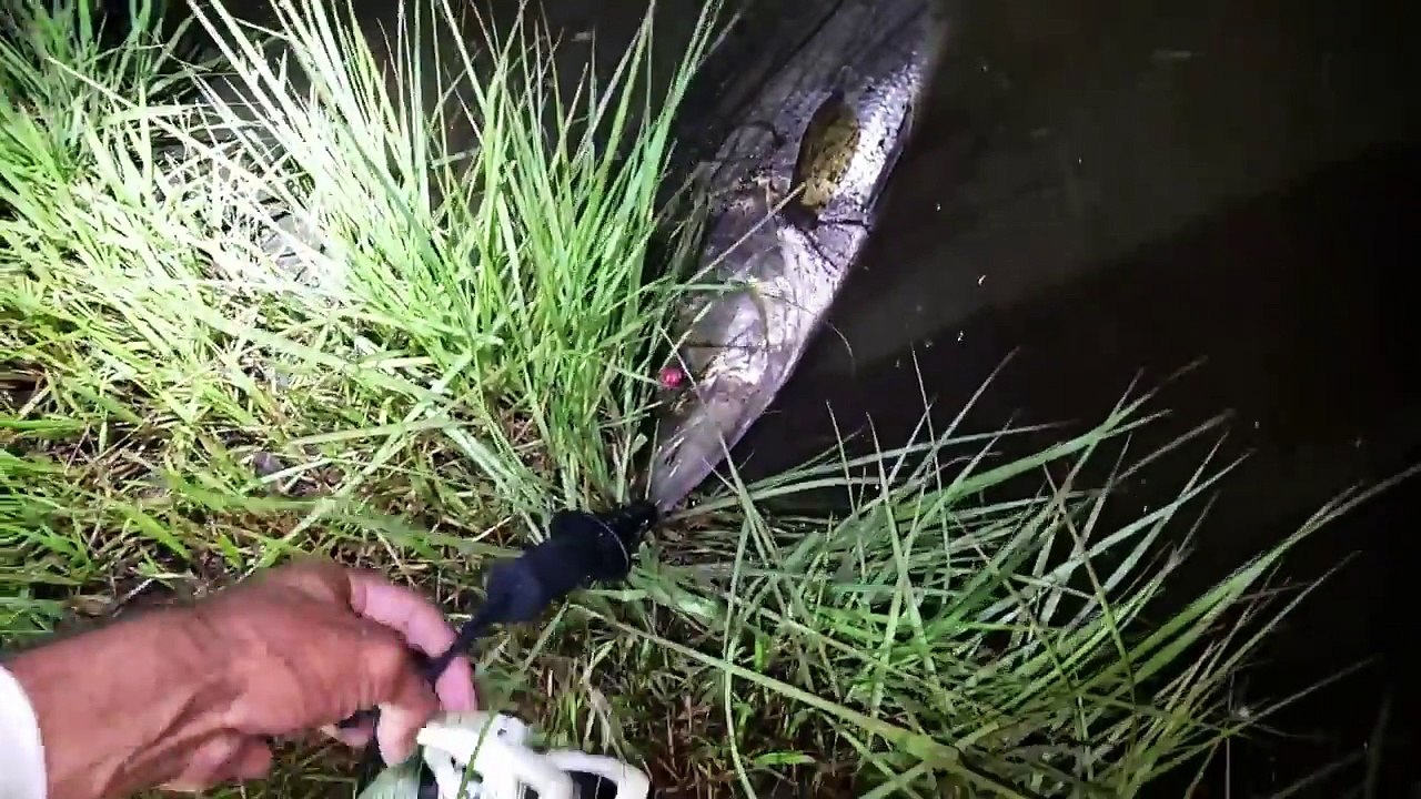 THE POND MONSTER! Welcome Leviathan!