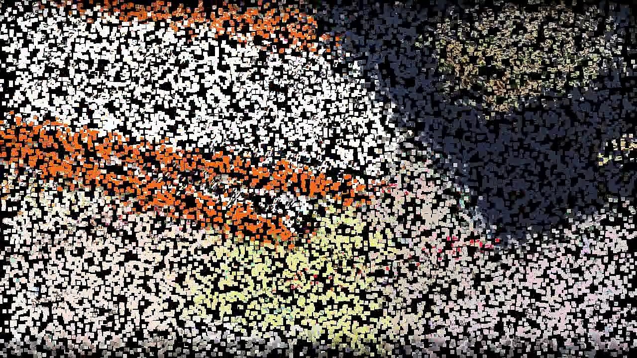 Rann Utsav - Booking and Package Information | Gujarat Tours