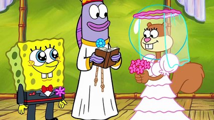 SpongeBob SquarePants - Then VS. Now - Evolution of SpongeBob (Tooned Up S3 E15)