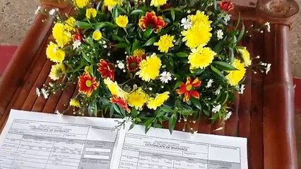 Holding Hands by Steve Green (Cover) Mock Wedding