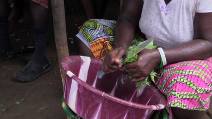 Hopes of banning FGM in Liberia fade ahead of election