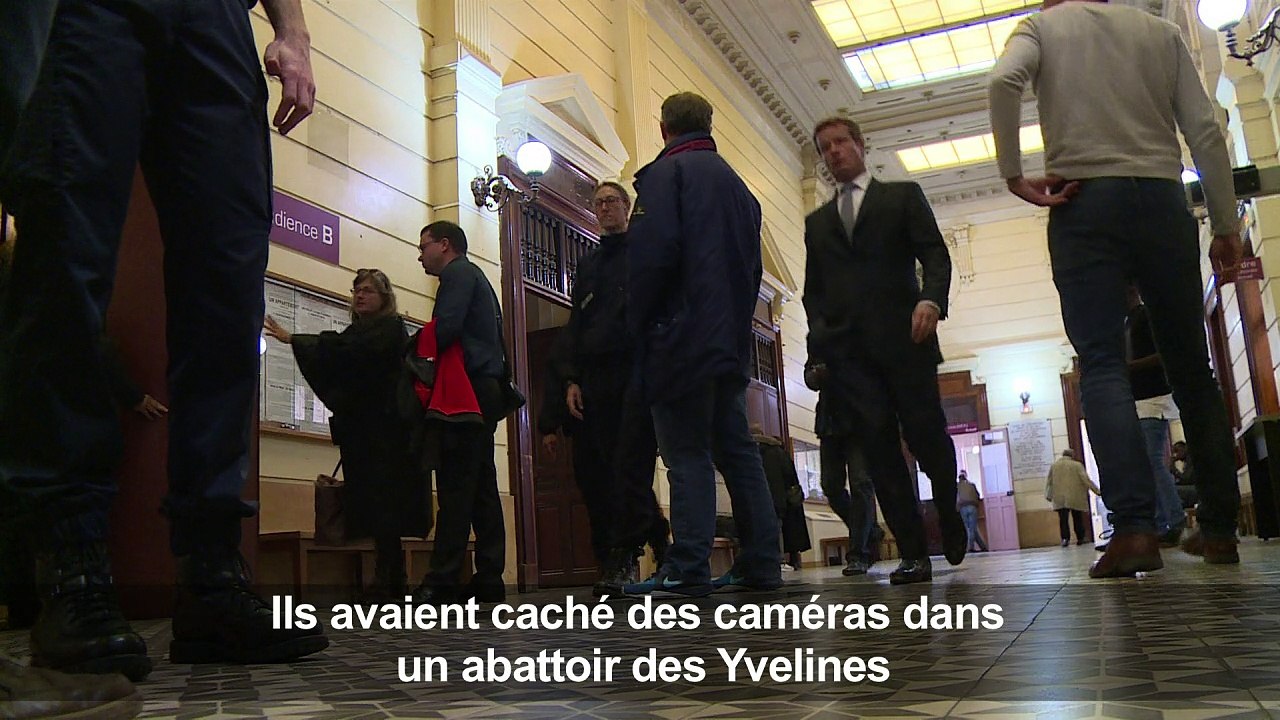 Animaux: L214 condamnée mais entend poursuivre sa lutte