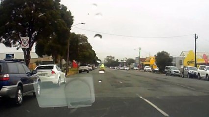 Magpie Dive Bombs Biker