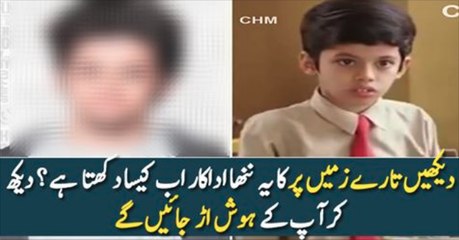 How Little Star of Film Taare Zameen Par Looks Like Now ?