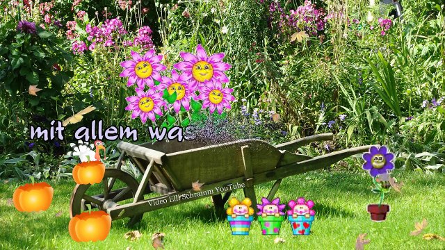 Grüße für einen fröhlichen Tag - ich habe an dich gedacht ♥