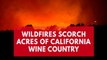 Wildfires blaze through California's Napa Valley wine country and force evacuations