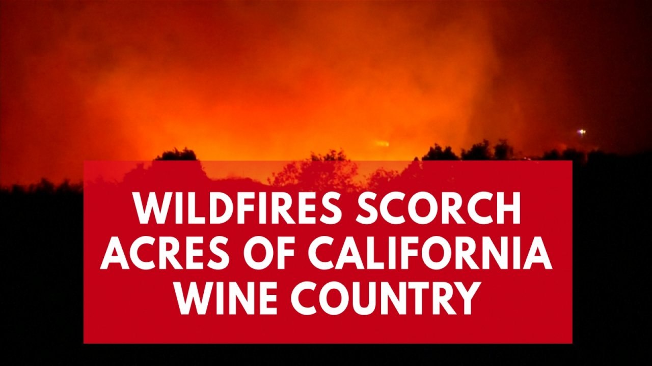 Wildfires blaze through California's Napa Valley wine country and force evacuations