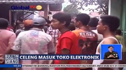 babi hutan kelaparan,  nyasar ke rumah penduduk.