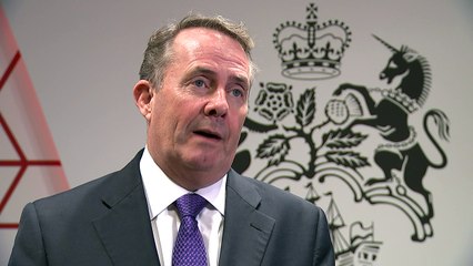 Liam Fox says the DIT has come up with a "back up plan"