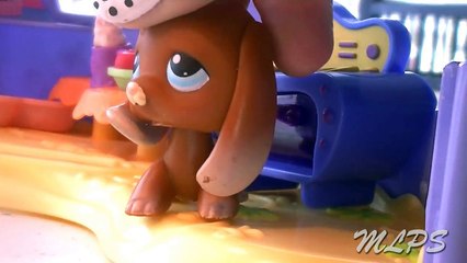 Littlest Pet Shop: Disordered (Episode #1 The Crew)