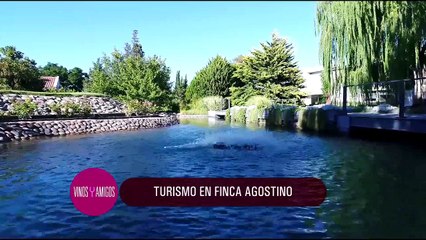 Vinos y Amigos Programa 175 Bloque 2