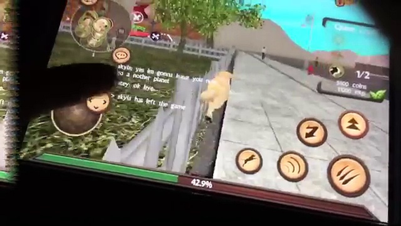 Dog sim gaming vid