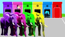 Learn Colors With Animals For Children | Learn colors with Elephant & Nursery Rhymes