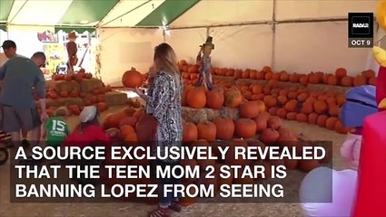 Kailyn Lowry Ban Baby Daddy From Seeing Son, Source Says