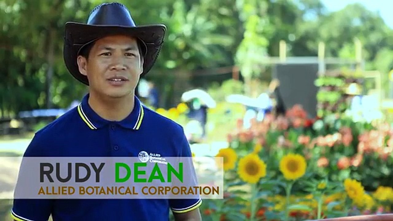 How to grow Ampalaya or Bittergourd | Agribusiness How It Works