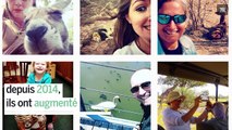 [Actualité] Comment nos selfies menacent les animaux sauvages