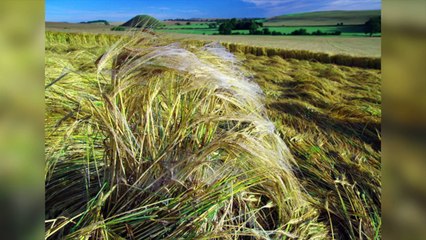 Los 15 Misterios Más Grandes De La Historia