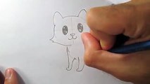 Como desenhar um tigre